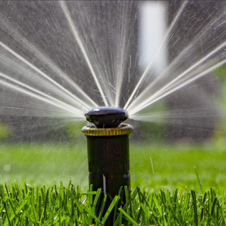 Transform Your Perth Backyard with Smart Landscaping