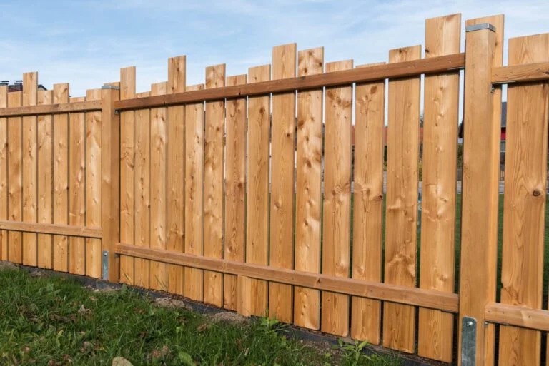 Professional Hedge Cutting in Wimbledon: precise, tidy, reliable service