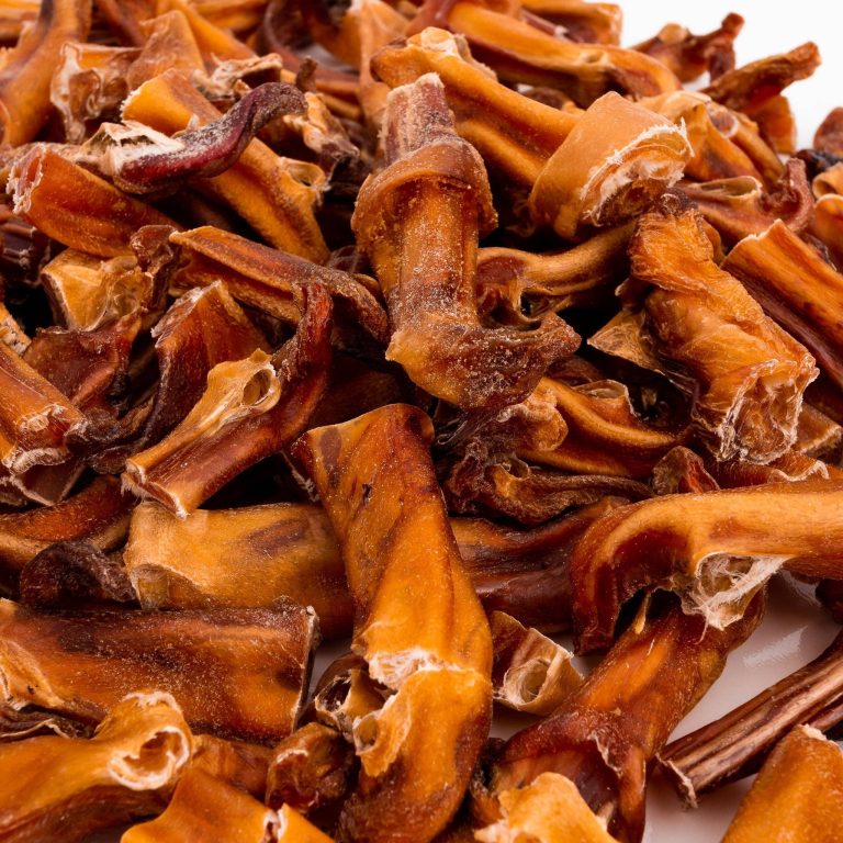 Pups Snacks: Healthy Treats Your Pet Will Love