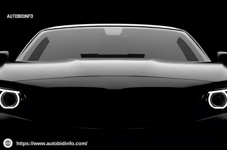Vin History Report Usa | Autobidinfo.com