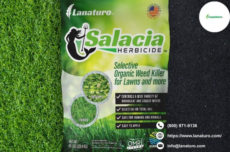 Where to buy organic weed killer for a greener garden