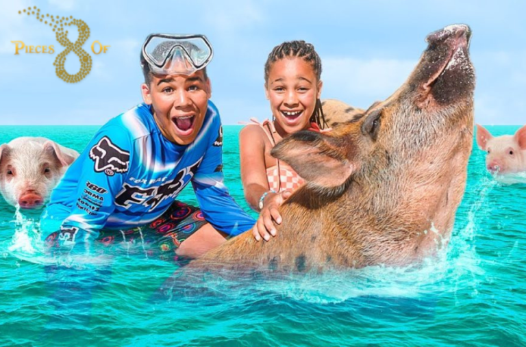 Explore Nassau’s Coastal Charm: Boat Tour & Coastal Views