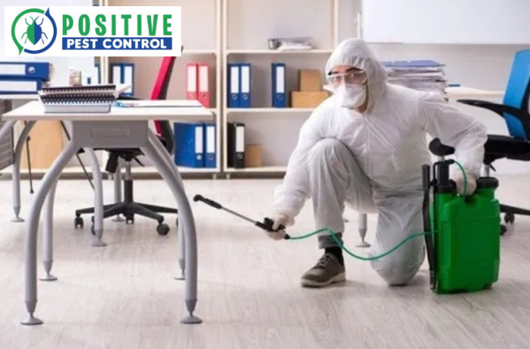 Effective Flea Management for Homes in Calgary