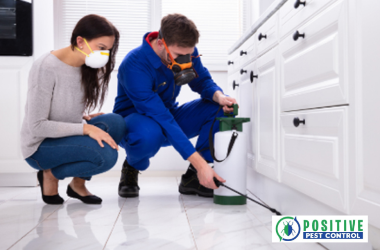 Effective Ant Management in Calgary: Safe, Local Solutions