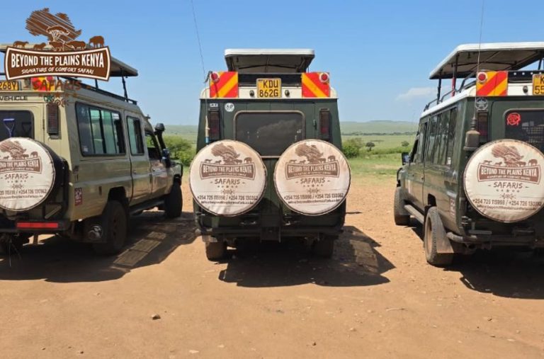 Wildlife wonders and conservation in Kenya’s premier reserve