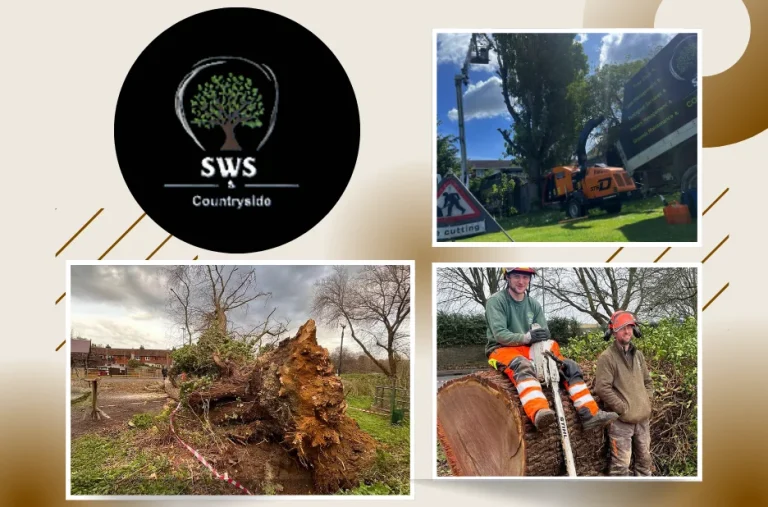 Expert Tree Thinning Services in Maidstone for Healthier, Balanced Trees