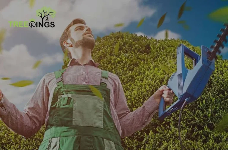 Expert Stump Removal Craigiburn Services for Clean and Safe Outdoor Spaces